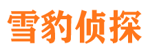 点军市婚姻出轨调查